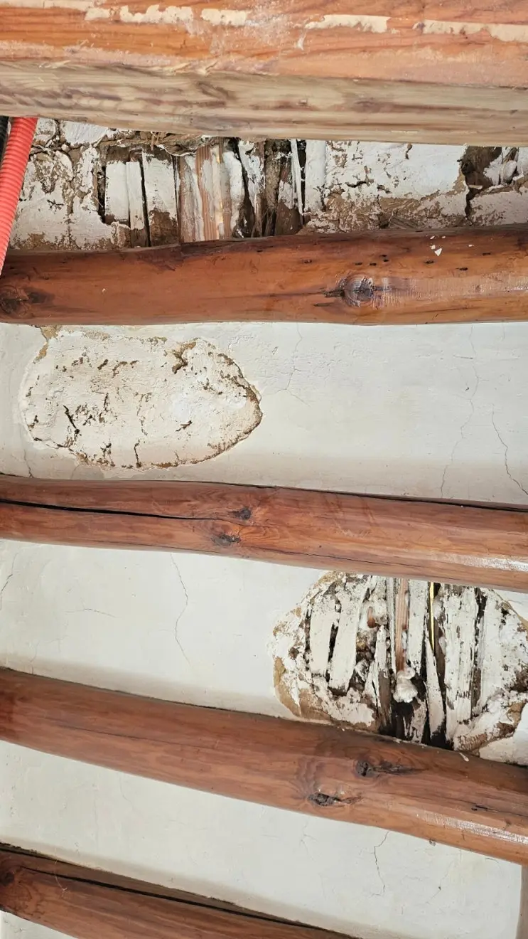 A Ceiling Collapse, a Deadline, and a Clean Roof — photo 10