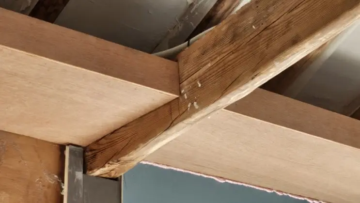 Three Carpenters, Three Days, and a House That Refuses Right Angles — photo 5