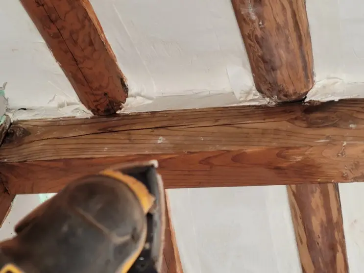 Dome Ceilings, Sample Lights, and the Rafters Drink Their Stain — photo 6