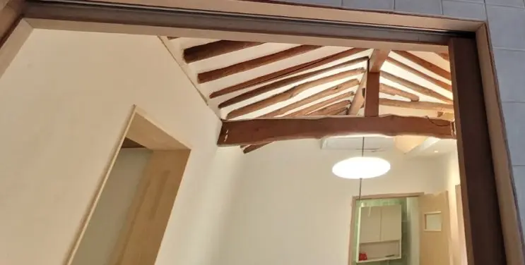 The Carpenter Returns: Framing the Traditional Maru — photo 5