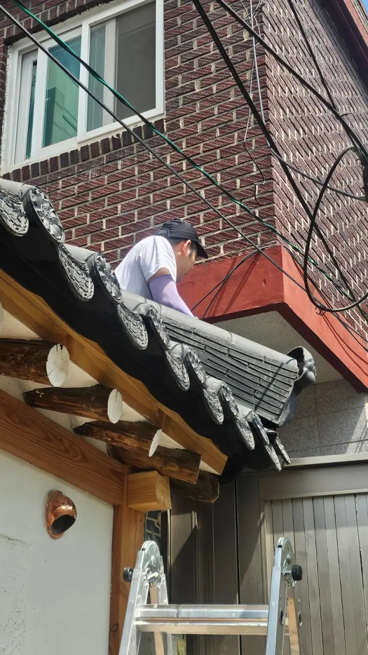 Moving a Dragon's Head for the Neighbors — and Building the Garden's Bones — photo 3