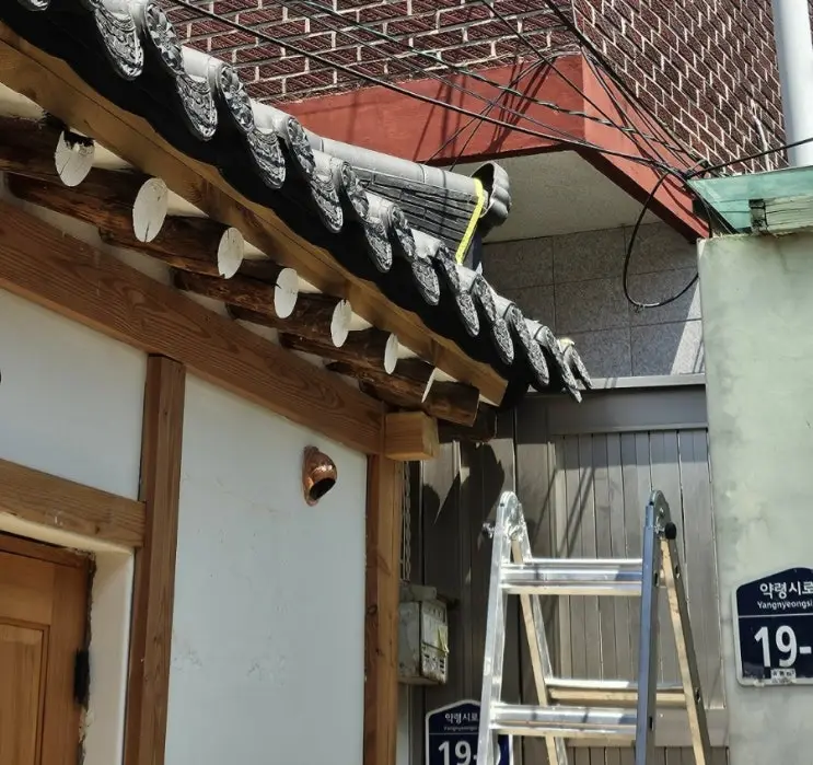Moving a Dragon's Head for the Neighbors — and Building the Garden's Bones — photo 4